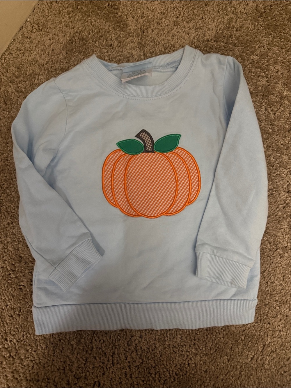Classic Whimsy Pumpkin Appliqué Sweatshirt